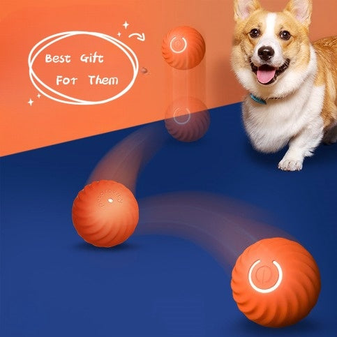 Pet Dog Rubber Ball Toys For Dogs Resistance To Bite Dog Chew Toys Puppy Pets Dogs Training Products - Xmaker