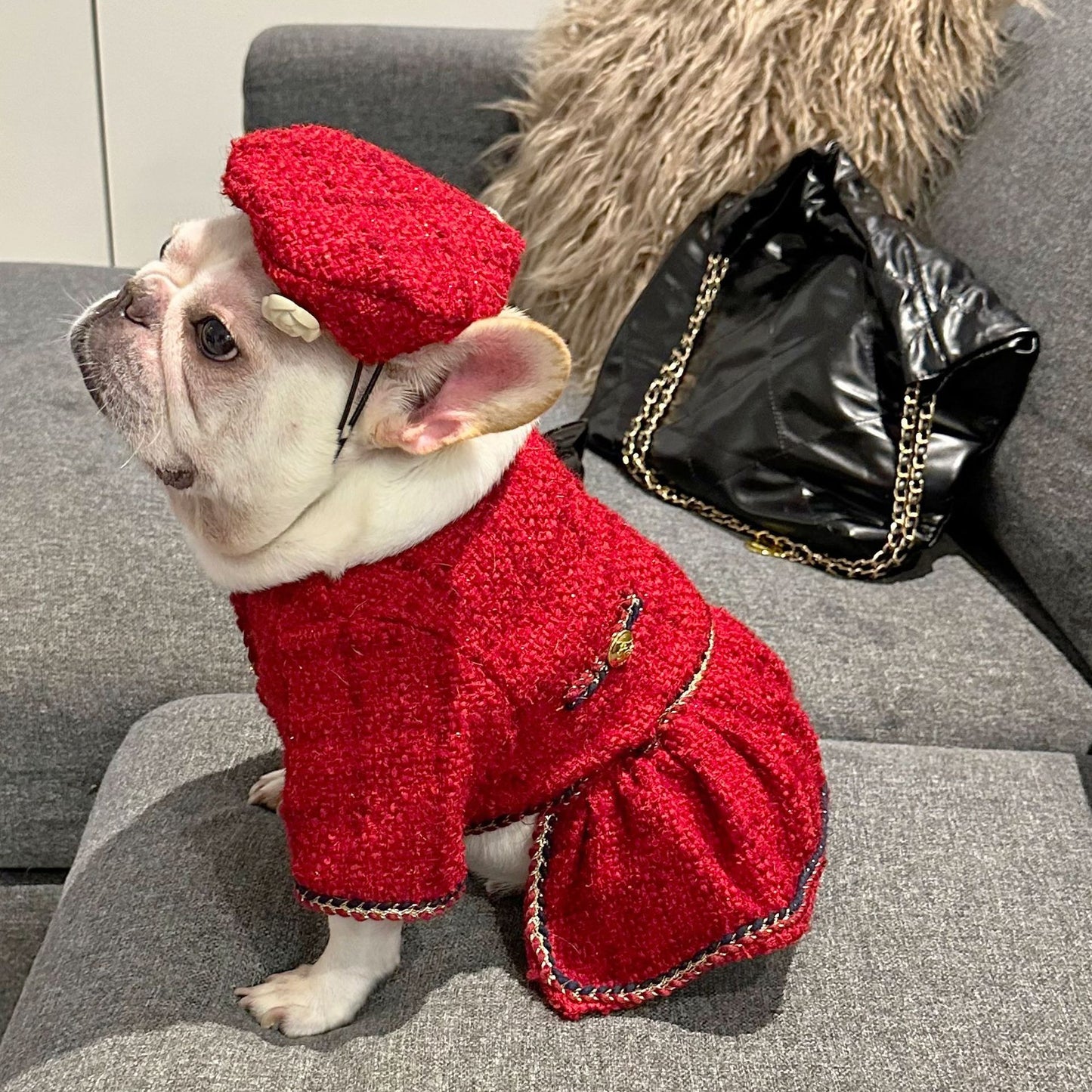 Pet Trendy Brand Popular Clothing - Xmaker