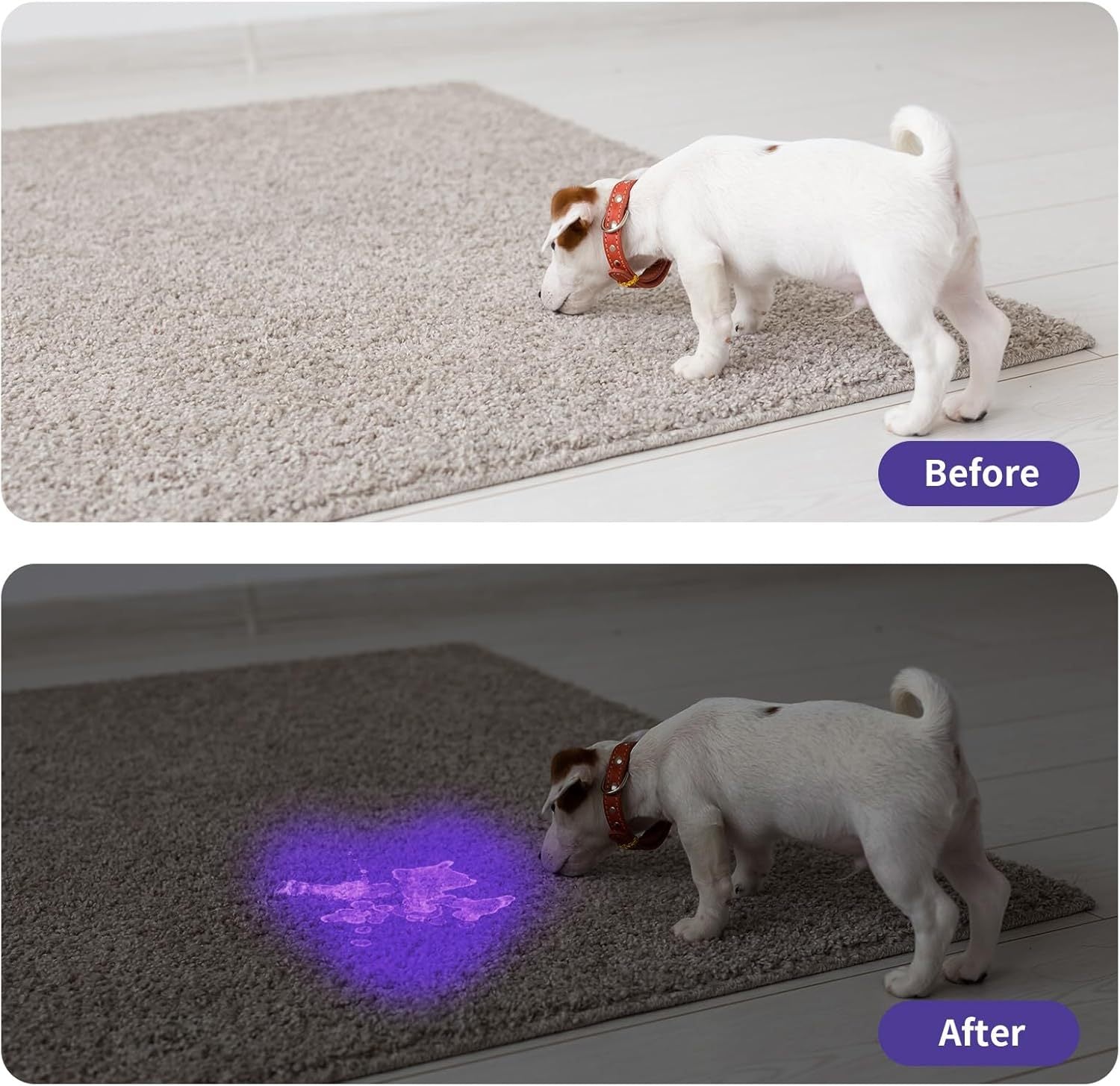 UV Flashlight LED Handheld Blacklight Flashlight Mini Light Torch Detector For Dog Pet Urine Stains Bed Bugs And Scorpions Batteries Not Included - Xmaker