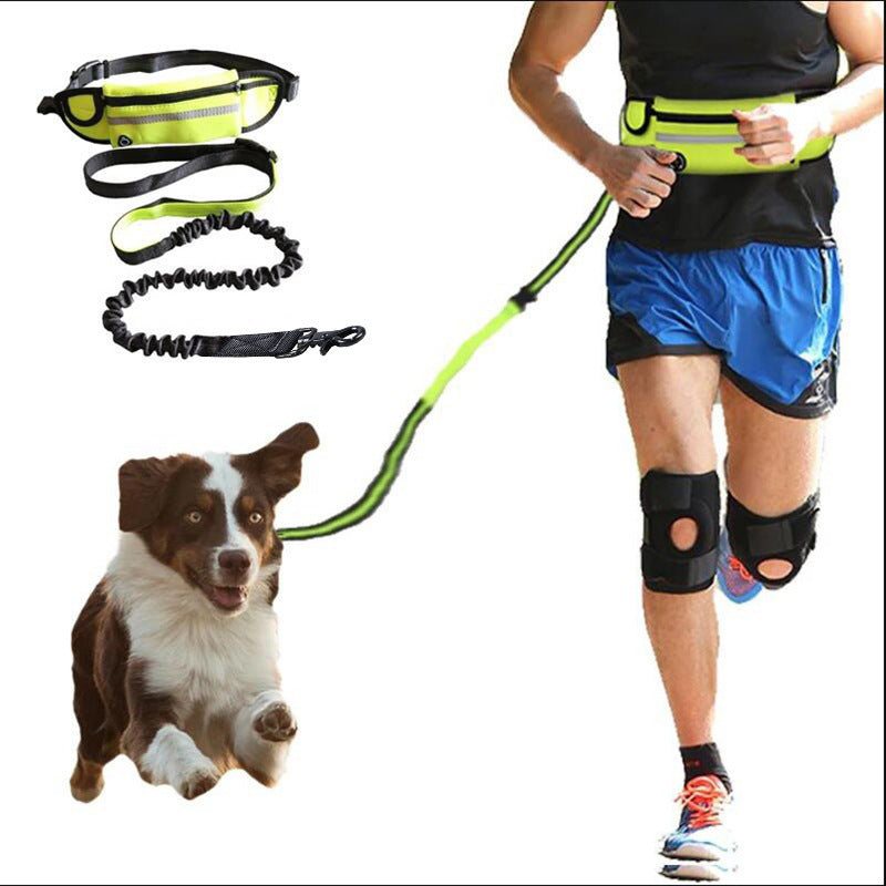 Hands Free Dog Leash Pet Walking And Training Belt With Shock Absorbing Bungee Leash For Up To 180lbs Large Dogs Phone Pocket And Water Bottle Holder - Xmaker