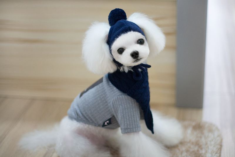 Pet wool scarf hat pet - Xmaker