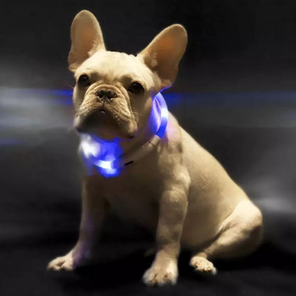 Pet Light Collar Anti-Lost Collar for Dogs Pet Collars - Xmaker