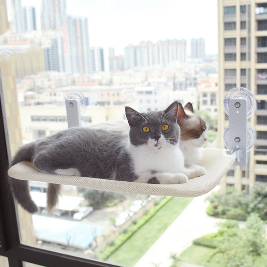 Cat Suction Cup Window Glass Hammock Pet Cat Pets Products - Xmaker