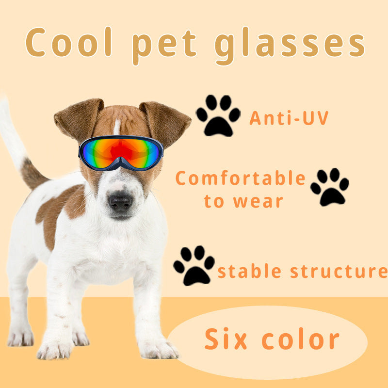 Cat Windproof Glasses Outdoor Pet Cool Sunglasses - Xmaker