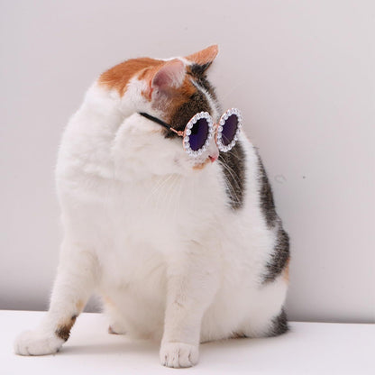 Cat And Dog Pearl Sunglasses - Pet Extravagant Funny Cute Dress Up Costume Accessories For Party - Xmaker