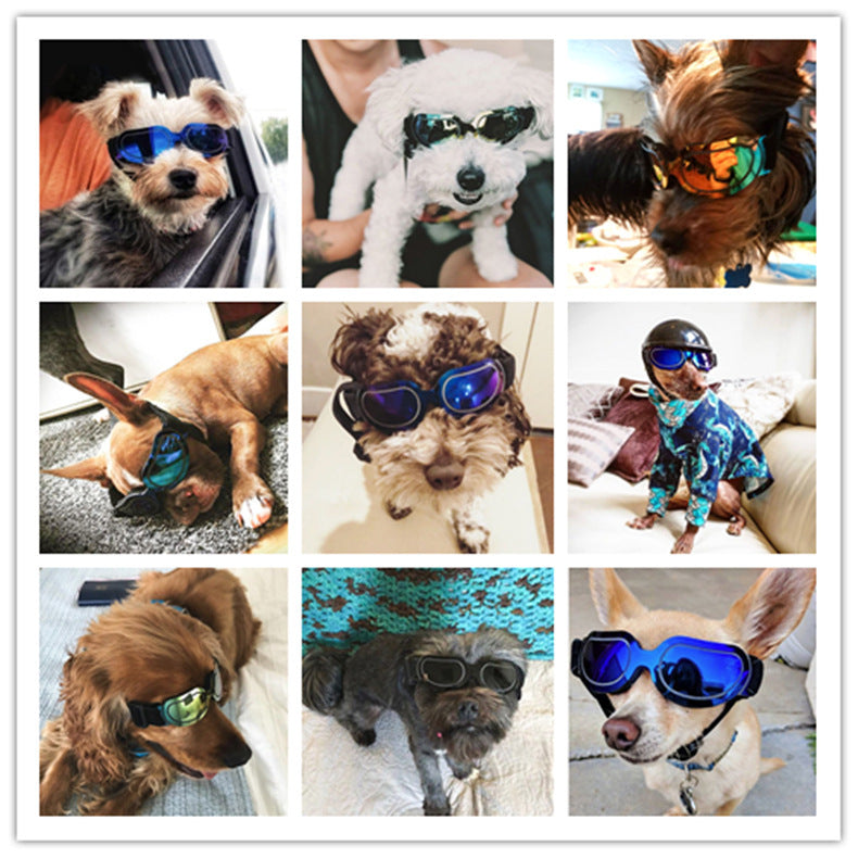 Pet supplies colorful dog glasses sunglasses Amazon cat sunglasses - Xmaker