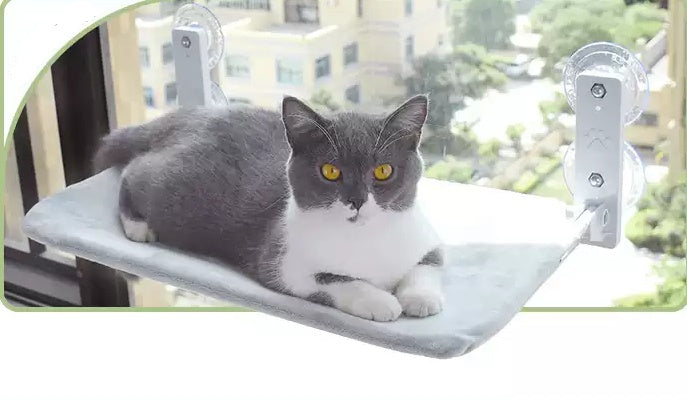 Cat Suction Cup Window Glass Hammock Pet Cat Pets Products - Xmaker