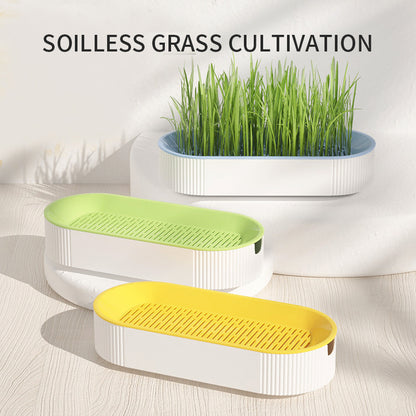 Hydroponic Cat Grass Box Plastic Tray Cat Grass Growing Kit Cat Grass Planter Hydroponic Cat Grass Box Cat Grass Sprouter Tray Interactive Cat Toy Window Planter Soilless For Pet Cat Plastic Plant Pot - Xmaker