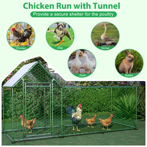 Poultry Habitat Cage With Lid For Chicken Coop - Xmaker