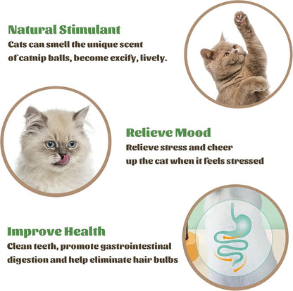 Catnip Wall Ball Piece Cat Toys Edible Cat Licking Toy Cat Chew Toy Teeth Cleaning Cat Bite Toy  Rotatable Indoor Cat Toy Cat Wall Decoration - Xmaker