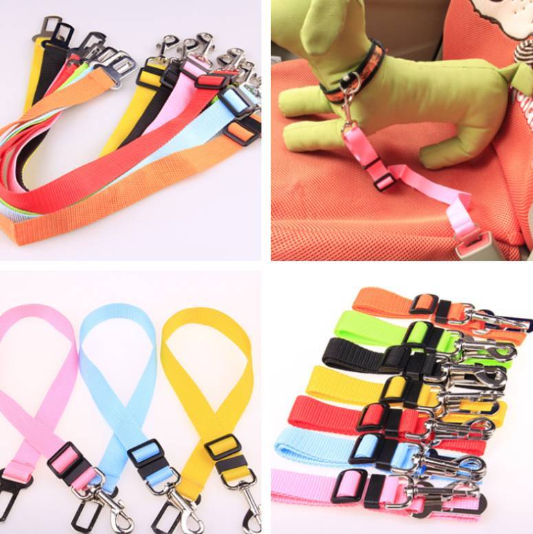 Fixed Strap Polyester Dog Strap Dog Leash Dog Leash - Xmaker