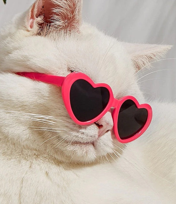 Doll Sunglasses Pet Toy Accessories - Xmaker