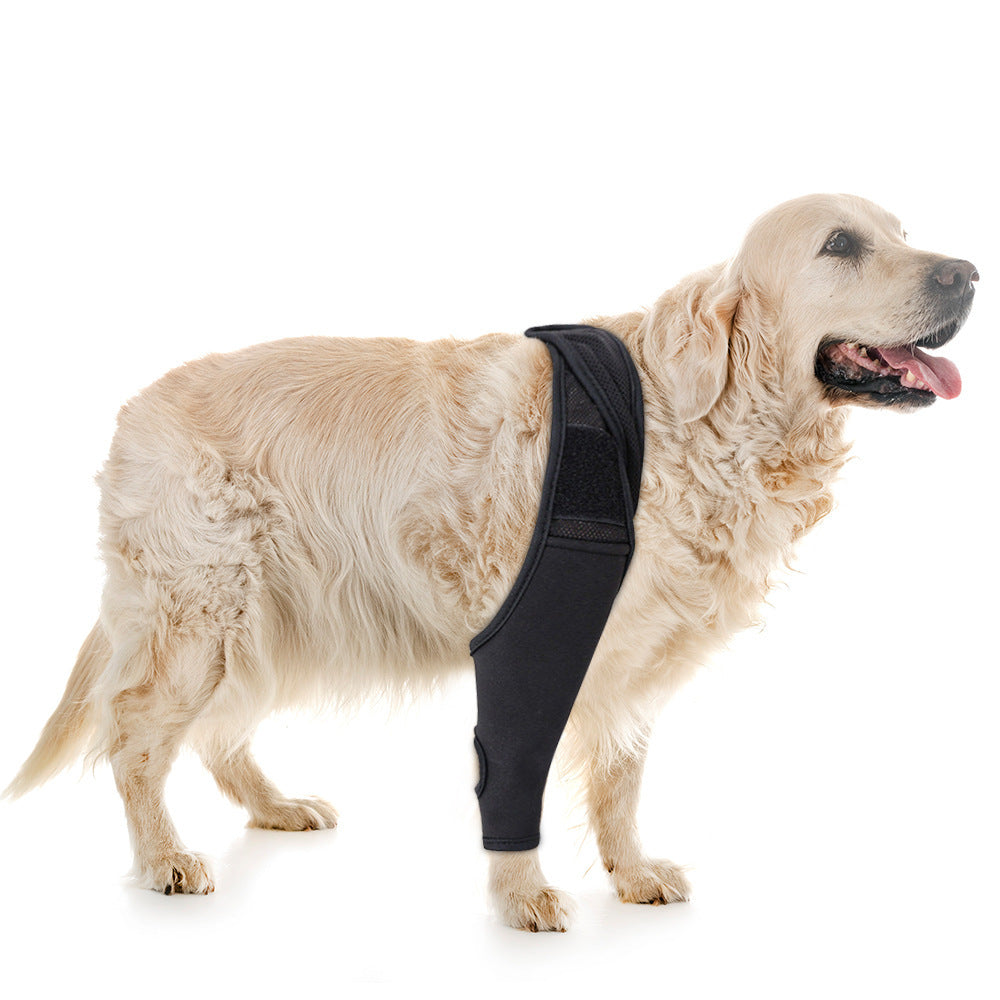 Pet Knee Pads For Joint Injury Recovery Legs Protector Dog Thigh Brace Wrap Adjustable Support Belt Post-operative Fixation - Xmaker