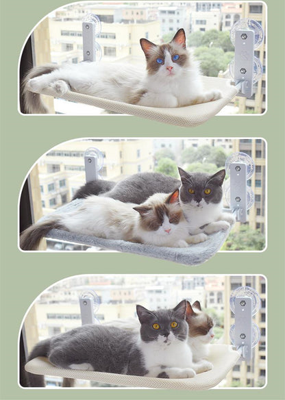 Cat Suction Cup Window Glass Hammock Pet Cat Pets Products - Xmaker