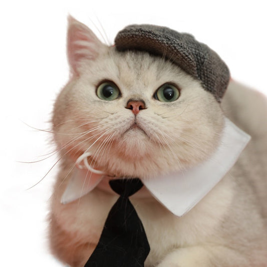 Pet Cat Gentleman Beret Tie Photo Props - Xmaker