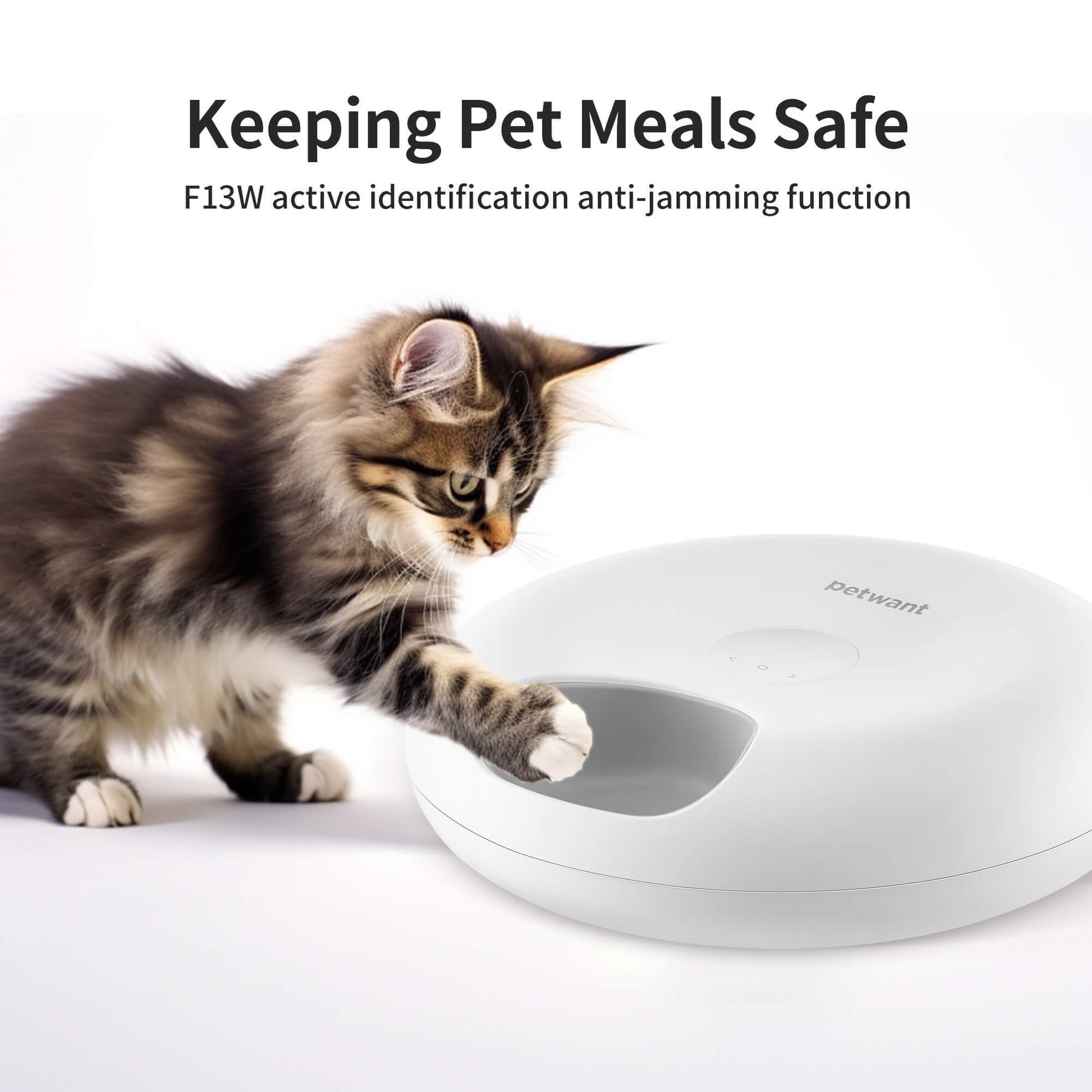 Automatic Cat Food Dispenser With App Control - Xmaker