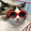 Pet Dog Cat Multi-color Sunglasses Cool Handsome Accessories - Xmaker