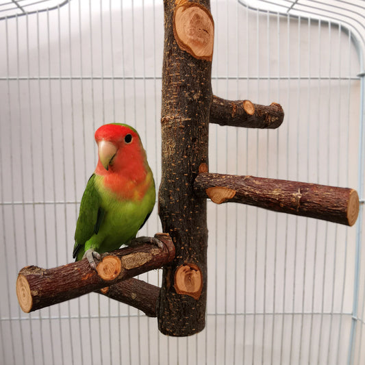 Parrot Bird Wood Stand Pole Toy - Xmaker