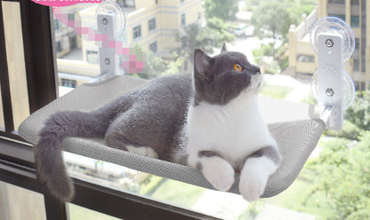 Cat Suction Cup Window Glass Hammock Pet Cat Pets Products - Xmaker