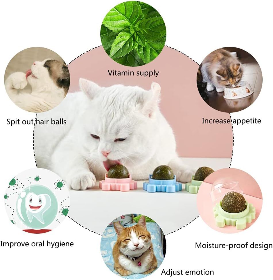 Catnip Wall Ball Piece Cat Toys Edible Cat Licking Toy Cat Chew Toy Teeth Cleaning Cat Bite Toy  Rotatable Indoor Cat Toy Cat Wall Decoration - Xmaker