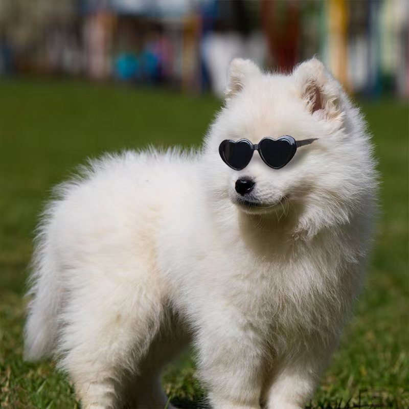 Doll Sunglasses Pet Toy Accessories - Xmaker