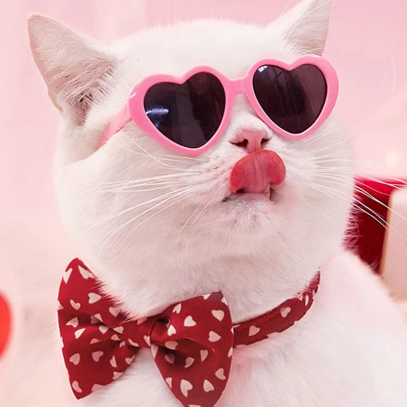 Doll Sunglasses Pet Toy Accessories - Xmaker