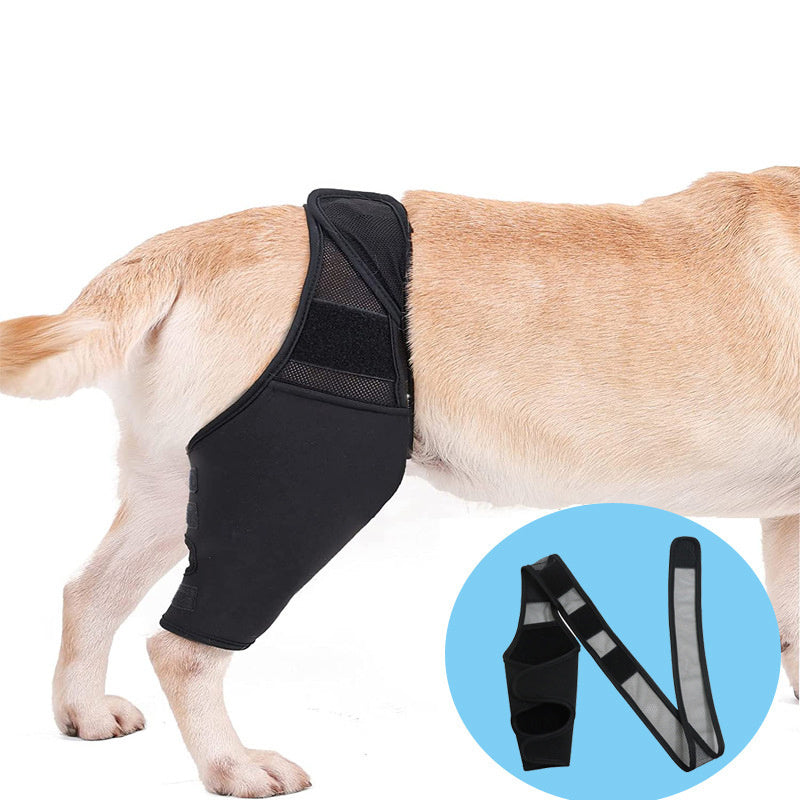 Pet Knee Pads For Joint Injury Recovery Legs Protector Dog Thigh Brace Wrap Adjustable Support Belt Post-operative Fixation - Xmaker