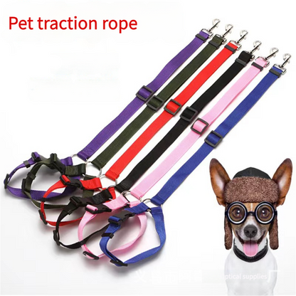 Pet car safety leash ring dog leash - Xmaker