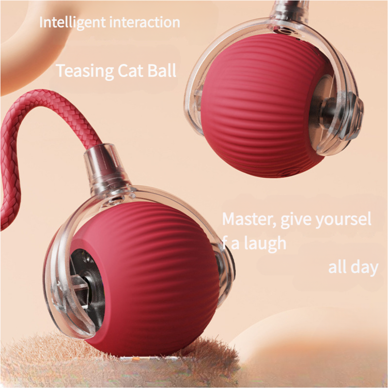 Pet smart rolling ball cat toys - Xmaker